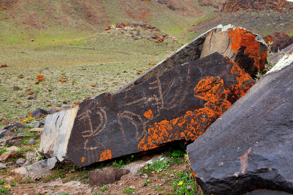15 محوطه سنگ‌نگاره‌های نقوش صخره‌ای در مشگین‌شهر شناسایی شد